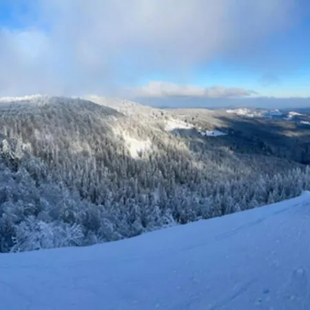 Oxalys Entre Lacs Et Montagne, Jacuzzi & Sauna