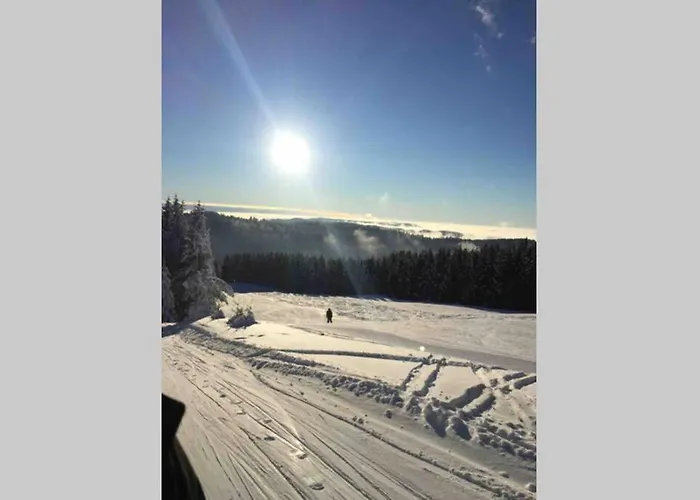 Oxalys Entre Lacs Et Montagne, Jacuzzi & Sauna Alpstuga