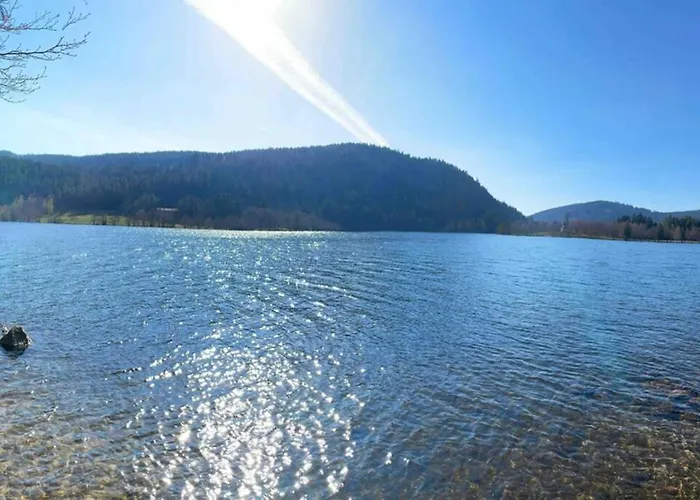 Chalet Oxalys Entre Lacs Et Montagne, Jacuzzi & Sauna *