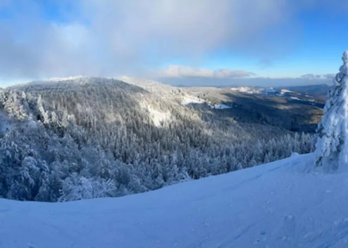 Oxalys Entre Lacs Et Montagne, Jacuzzi & Sauna